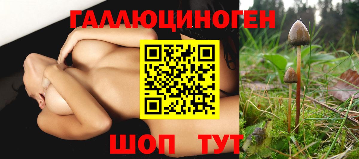 Псилоцибиновые грибы мухоморы  Галлюциногенные грибы MAGIC MUSHROOMS  Вход с VPN  Корсаков 